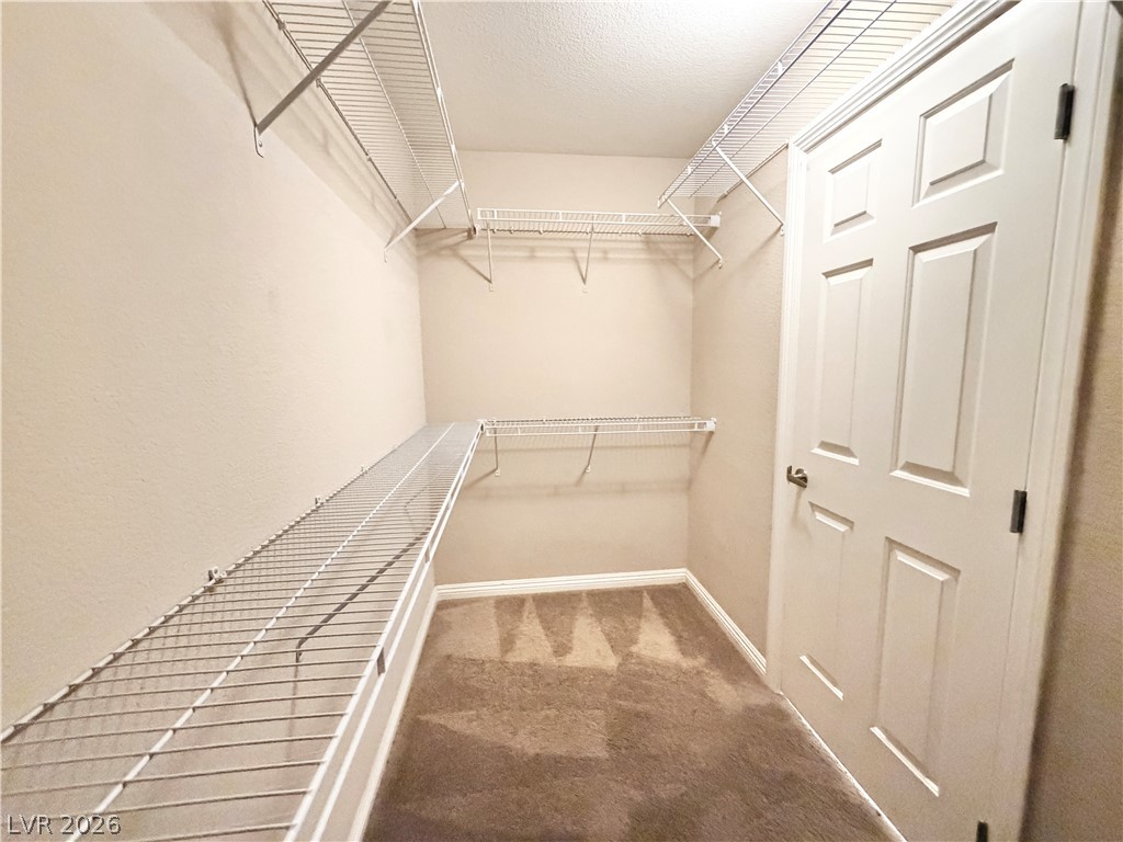 10360 Blue Ginger Drive Property Photo 25