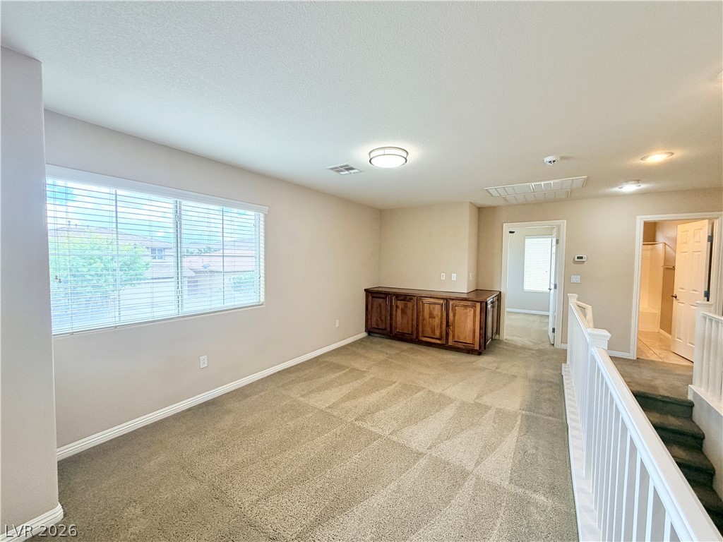 10360 Blue Ginger Drive Property Photo 26