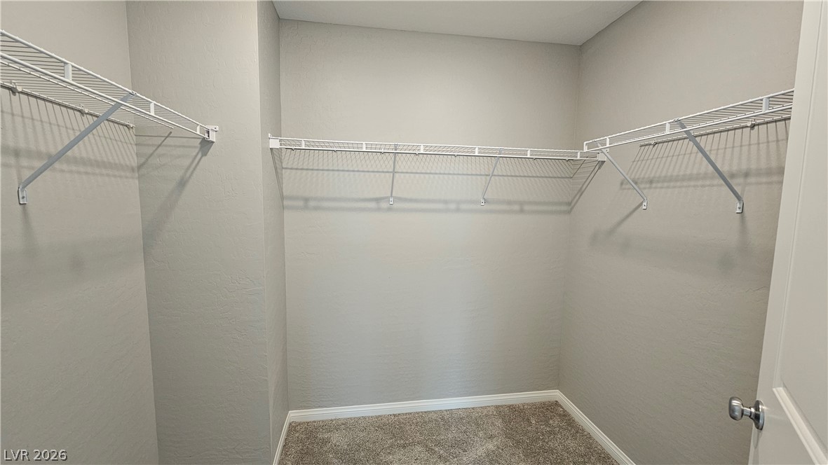 503 Granite Arch Street Property Photo 13