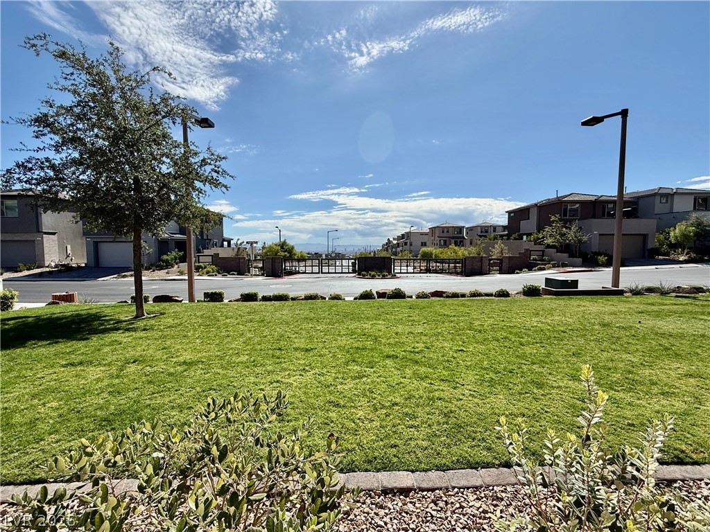 11837 Pied Harrier Avenue Property Photo 62