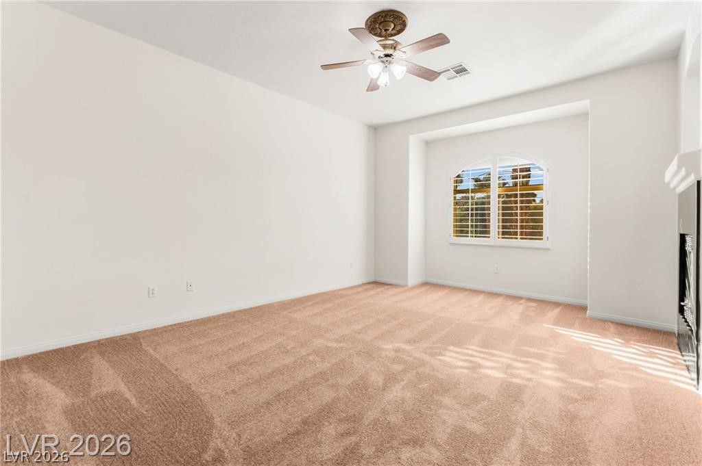 409 Indigo Springs Street Property Photo 50