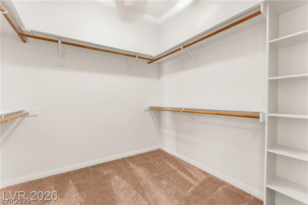 409 Indigo Springs Street Property Photo 57