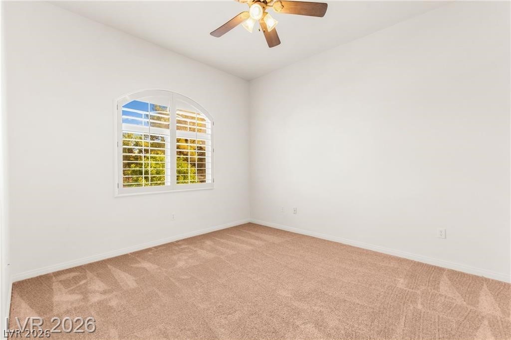 409 Indigo Springs Street Property Photo 63