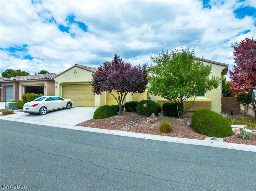 4725 Santa Fiora Street Property Photo 53