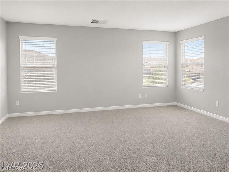 7861 Hamilton Pool Drive Property Photo 28