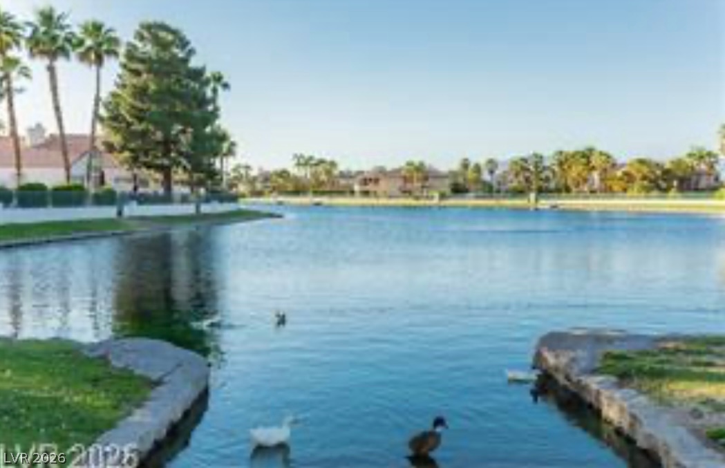8212 Arch Bay Lane Property Photo 56