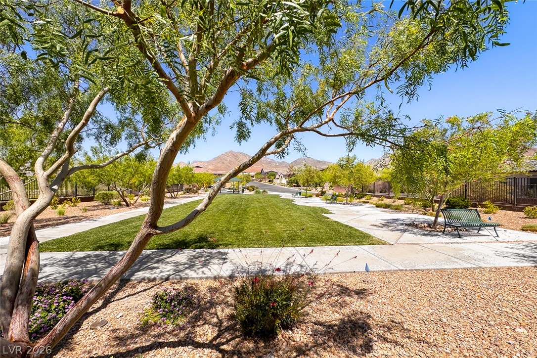 109 Agnew Street Property Photo 45