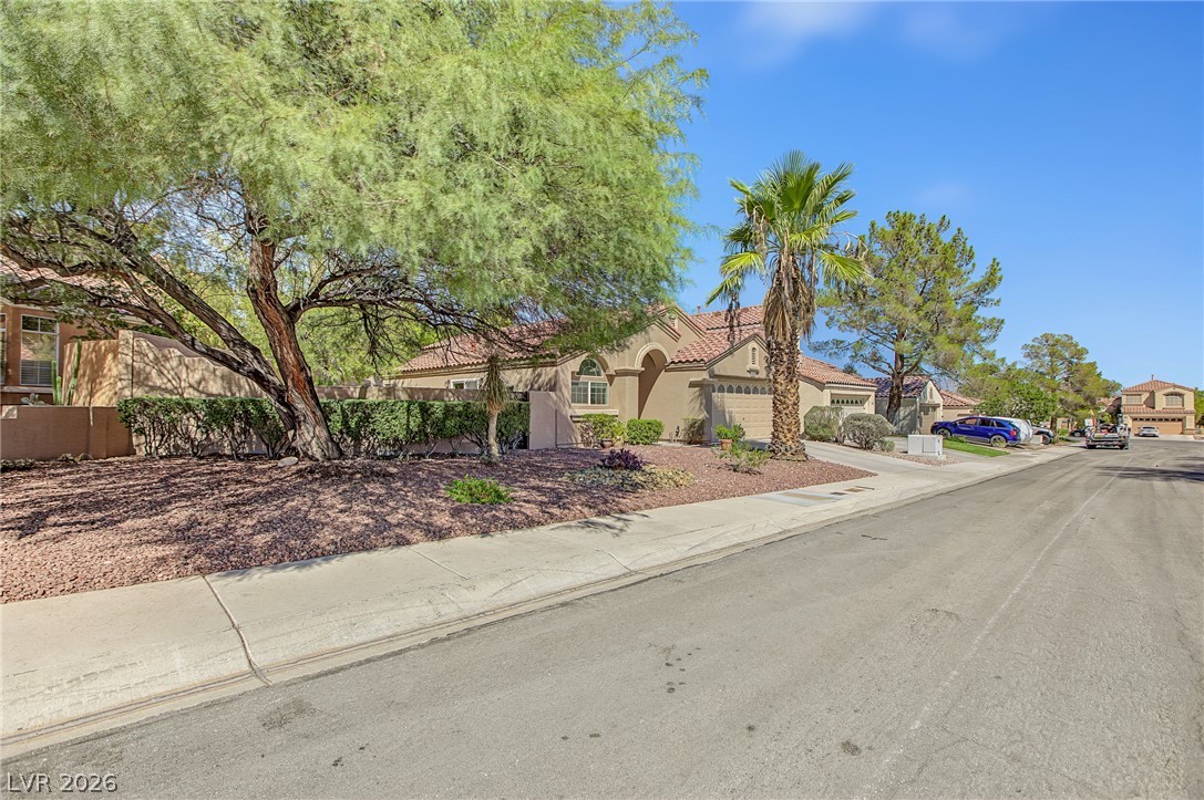 1705 Eagle Feather Street Property Photo 1