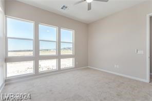 2484 Indigo Mountain Street Property Photo 28