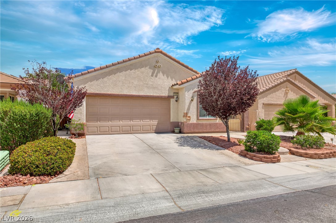 2328 Fossil Canyon Drive Property Photo 17