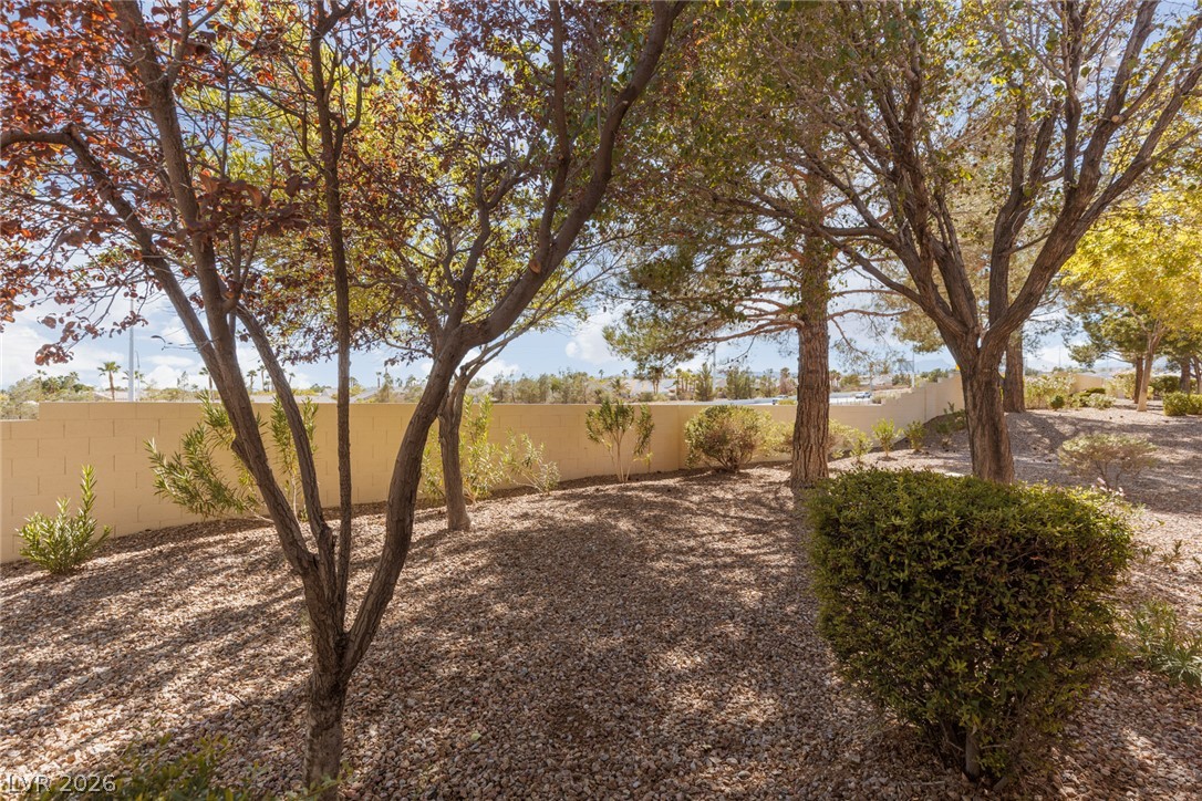 10633 Mission Lakes Avenue Property Photo 24