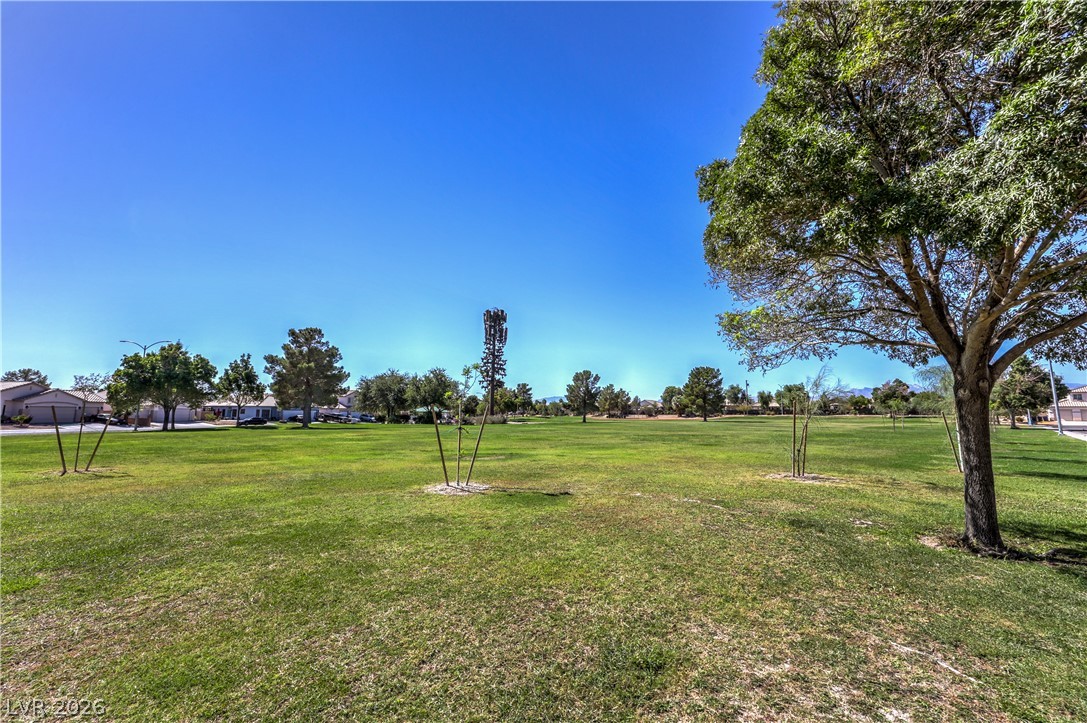 4517 Rockpine Drive Property Photo 38