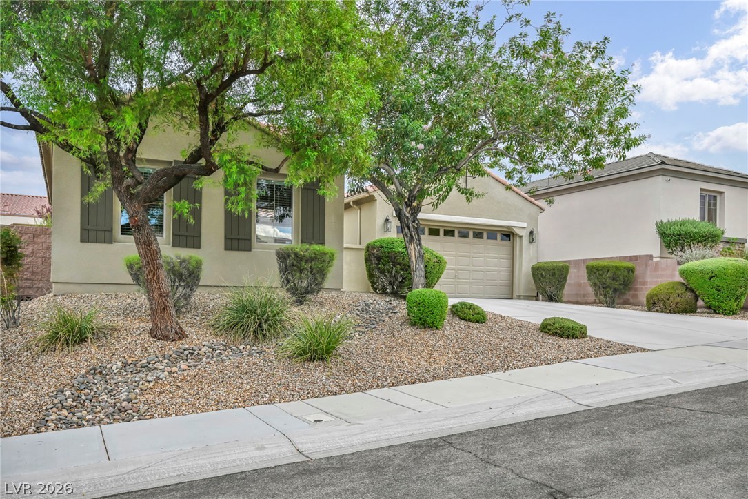 2672 La Boutique Street Property Photo 76