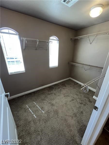 9716 Skiers Chalet Court Property Photo 17