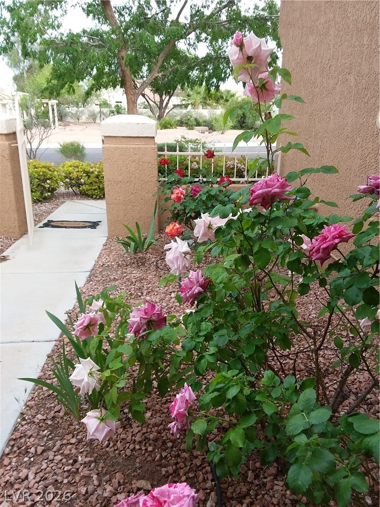 2741 Sungold Drive Property Photo 4