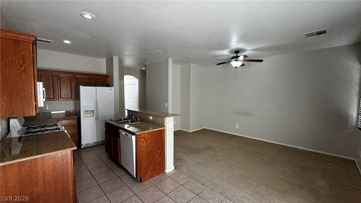 10923 Scotch Rose Street Property Photo 3