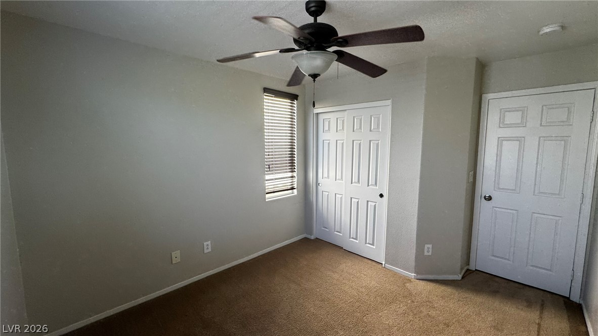 10923 Scotch Rose Street Property Photo 15