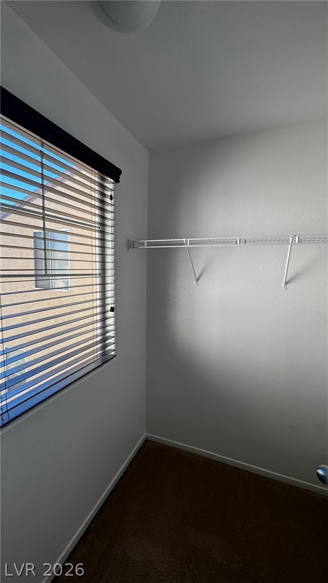 10923 Scotch Rose Street Property Photo 17