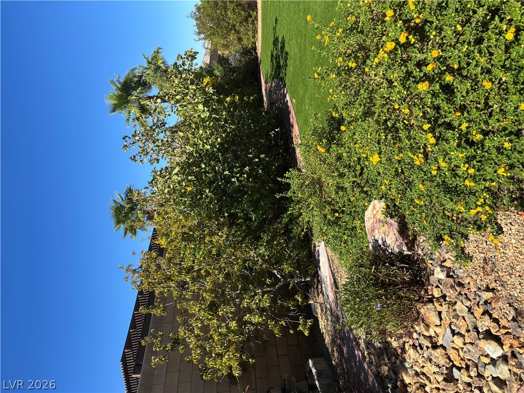 10997 Tanner Crest Street Property Photo 10