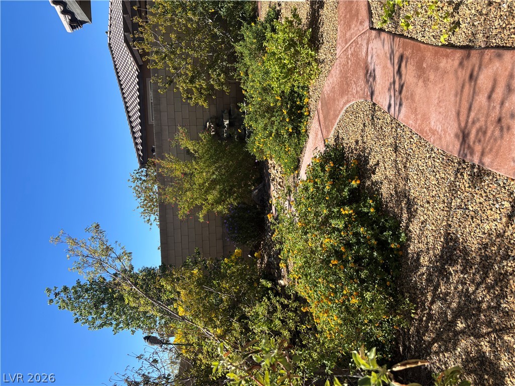 10997 Tanner Crest Street Property Photo 11