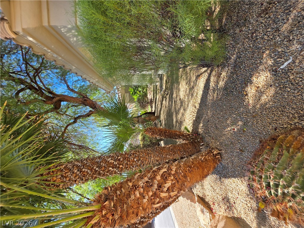 7430 Bisonwood Avenue Property Photo 10