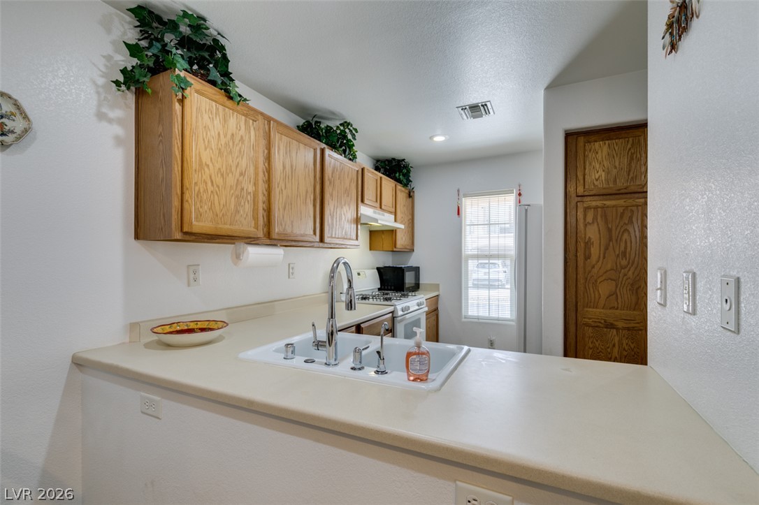 10367 Lettuce Leaf Street Property Photo 25