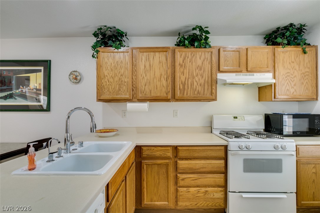 10367 Lettuce Leaf Street Property Photo 28