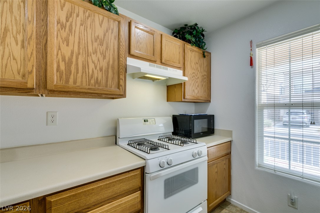 10367 Lettuce Leaf Street Property Photo 29
