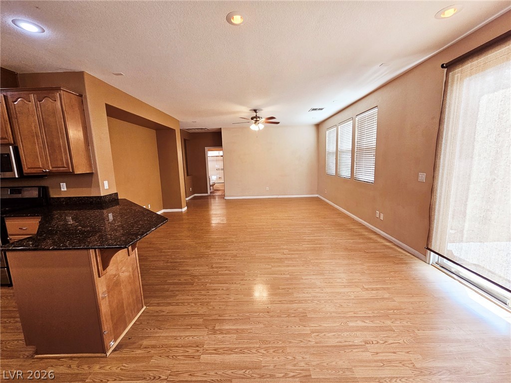 11066 Village Ridge Lane Property Photo 17