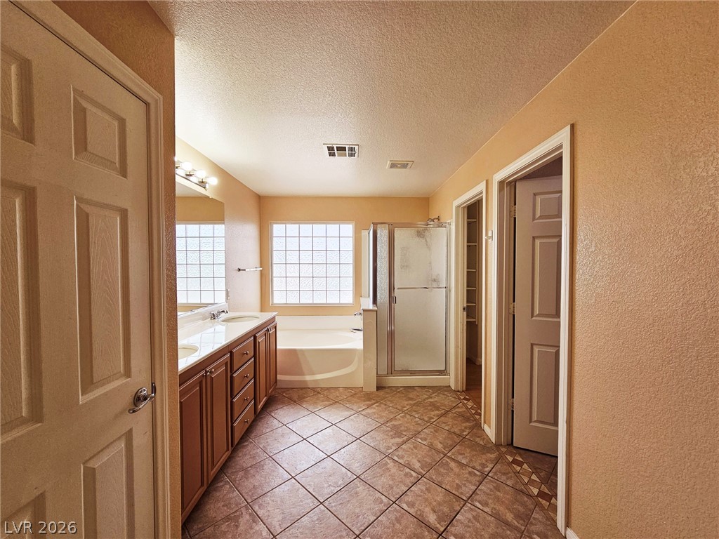 11066 Village Ridge Lane Property Photo 43
