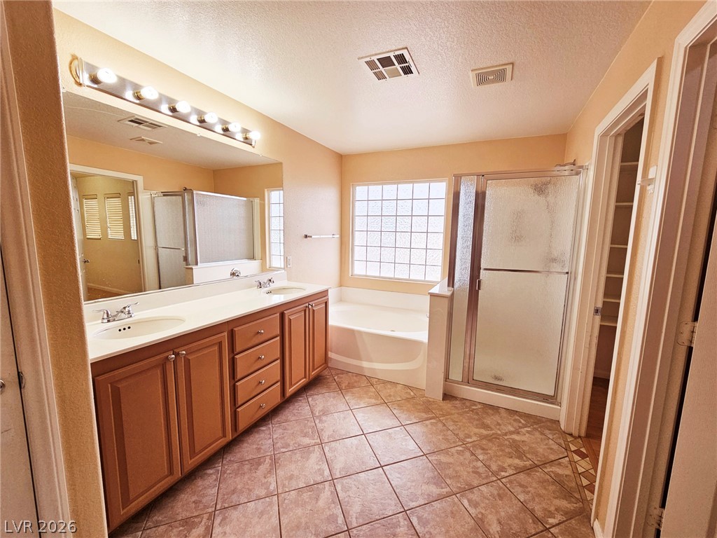 11066 Village Ridge Lane Property Photo 44