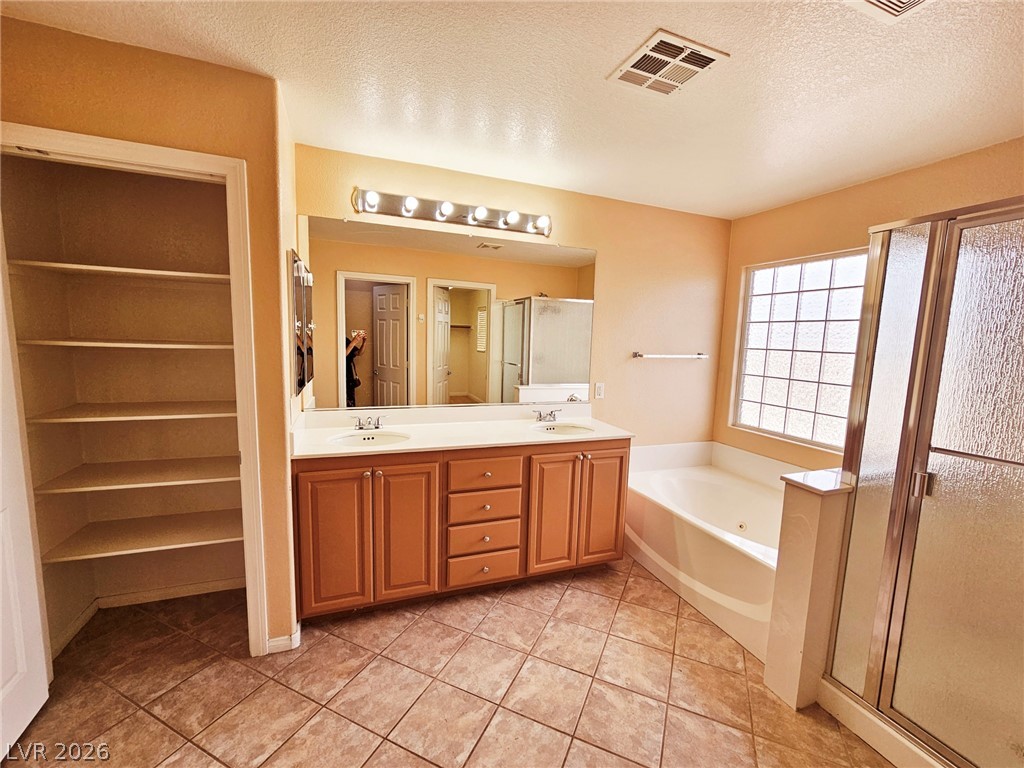 11066 Village Ridge Lane Property Photo 46