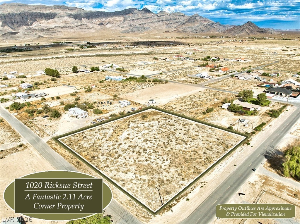 1020 Ricksue Street Property Photo 1