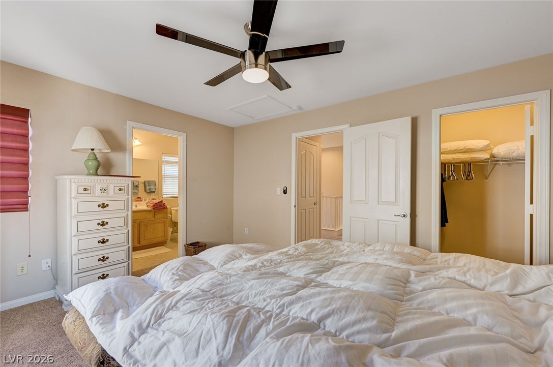 1849 Ardilea Street Property Photo 49