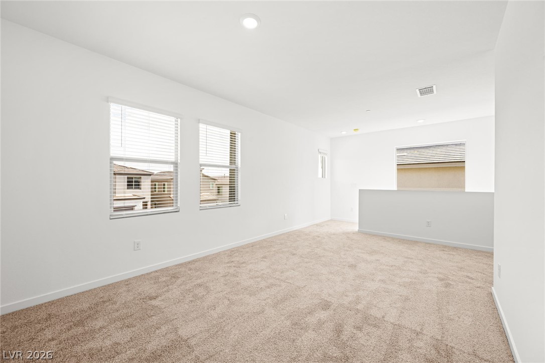 1485 Great Snipe Avenue Property Photo 14