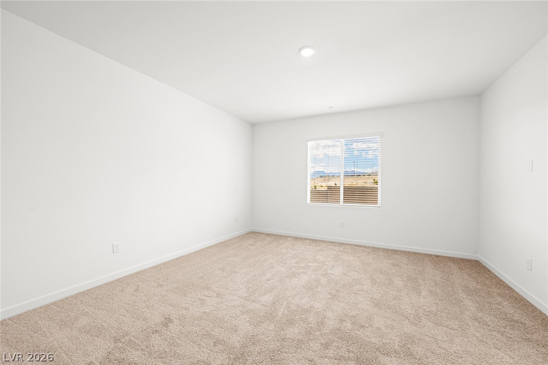 1485 Great Snipe Avenue Property Photo 21