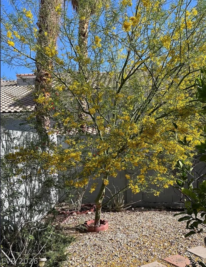 8433 Pacific Fountain Avenue Property Photo 18