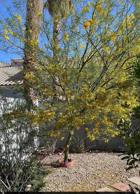 8433 Pacific Fountain Avenue Property Photo 20