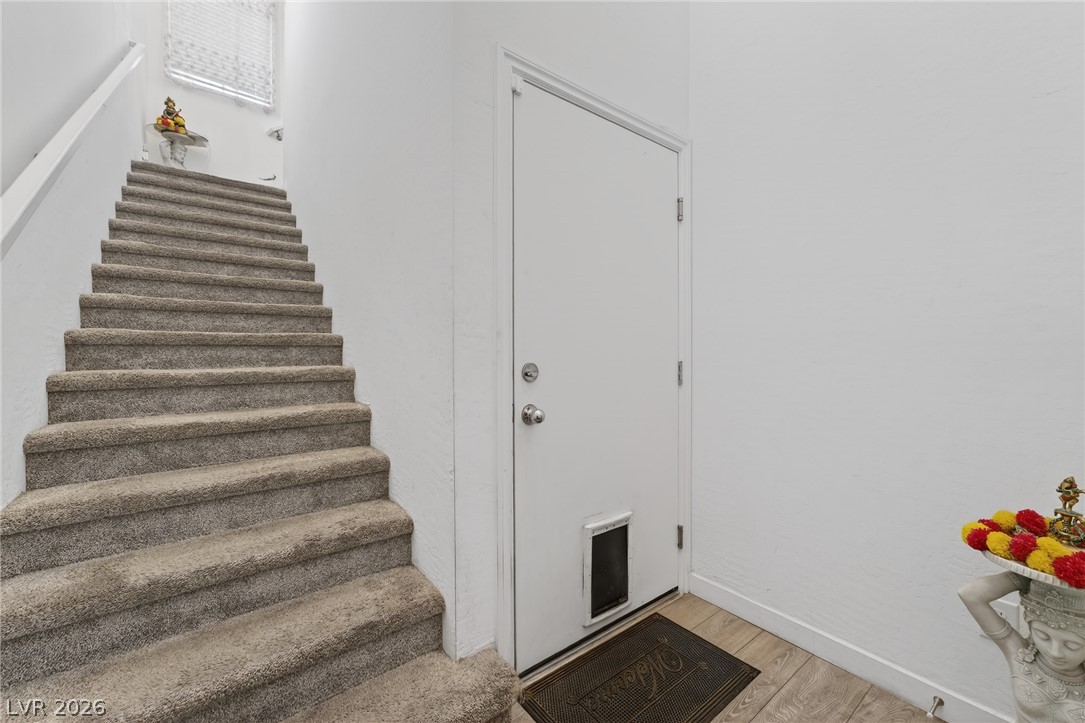 3700 Canis Minor Lane 19206 Property Photo 24
