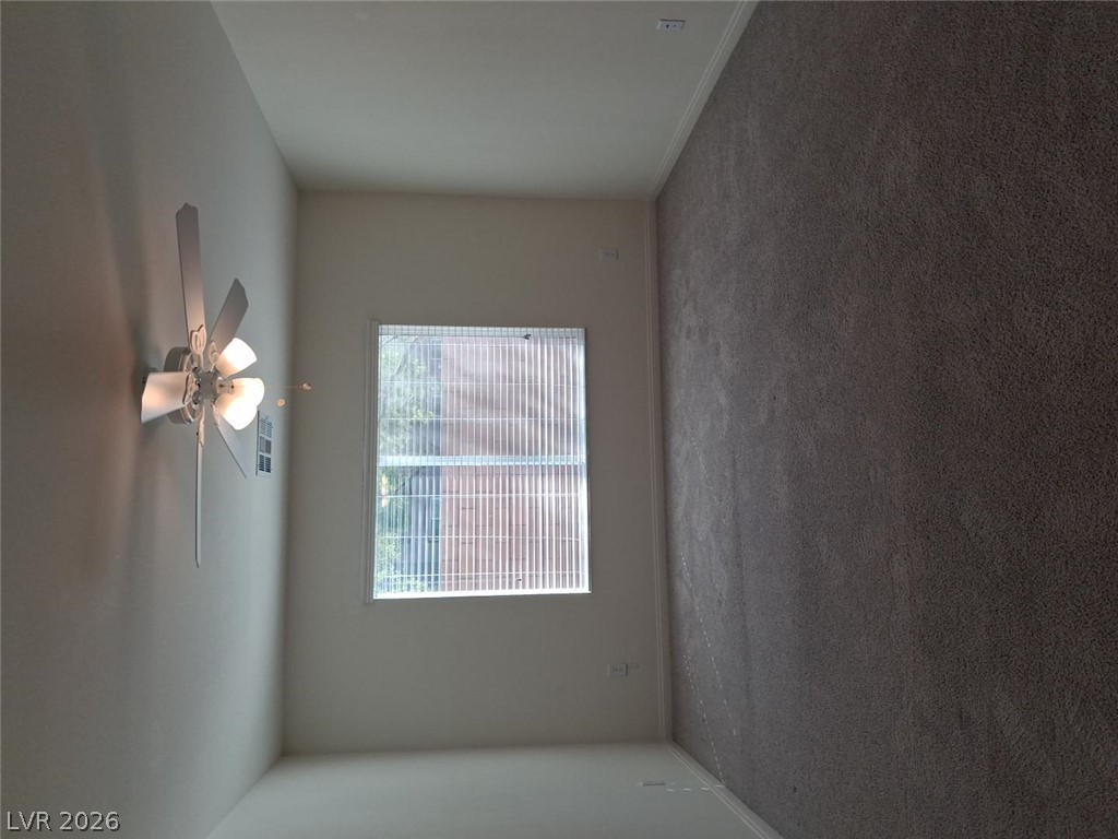 6369 Luna Rosa Avenue Property Photo 5