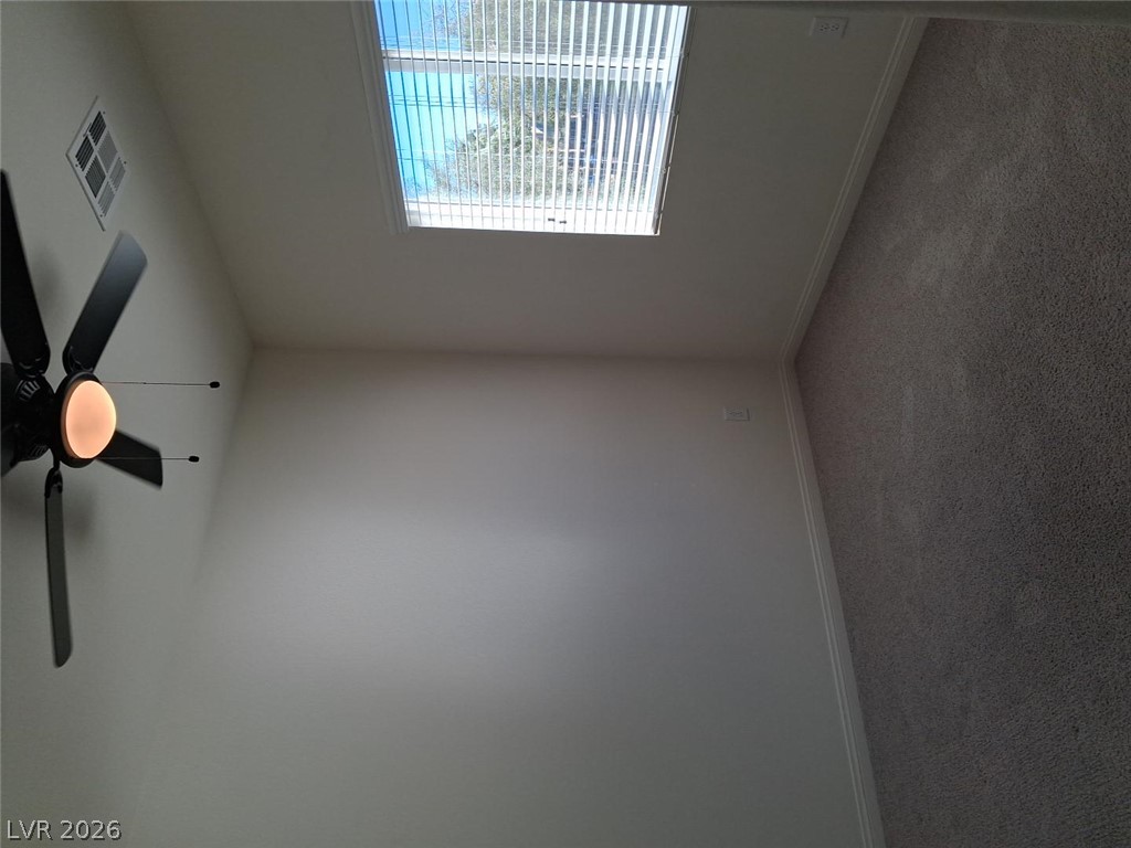 6369 Luna Rosa Avenue Property Photo 17