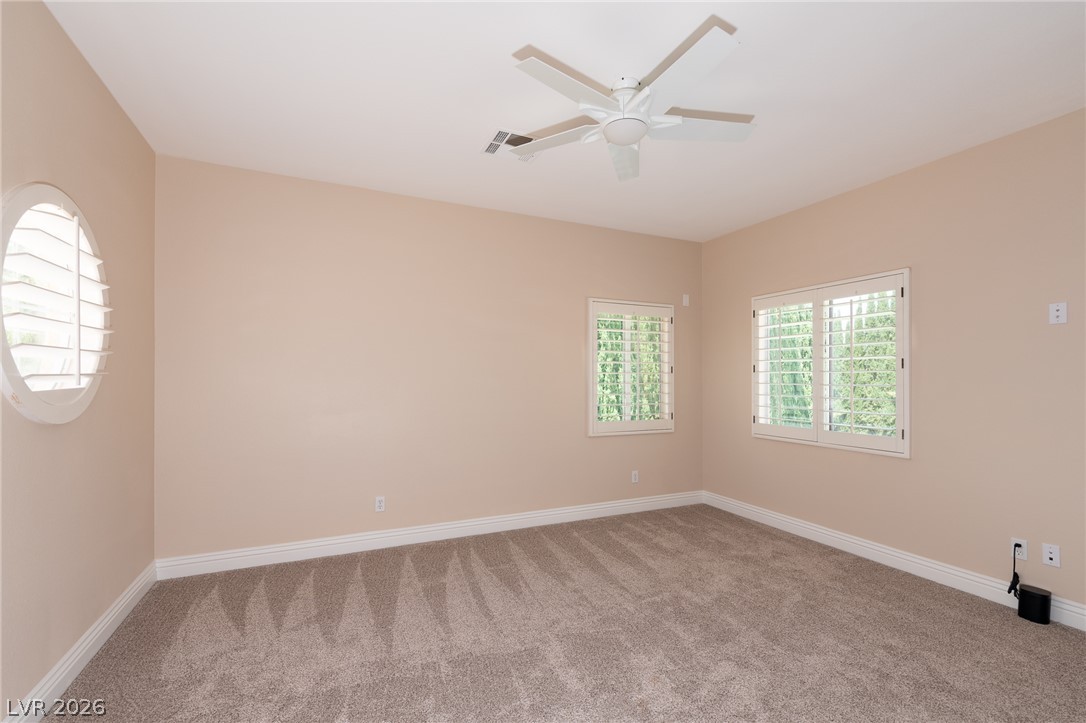 204 Satin Mist Court Property Photo 58
