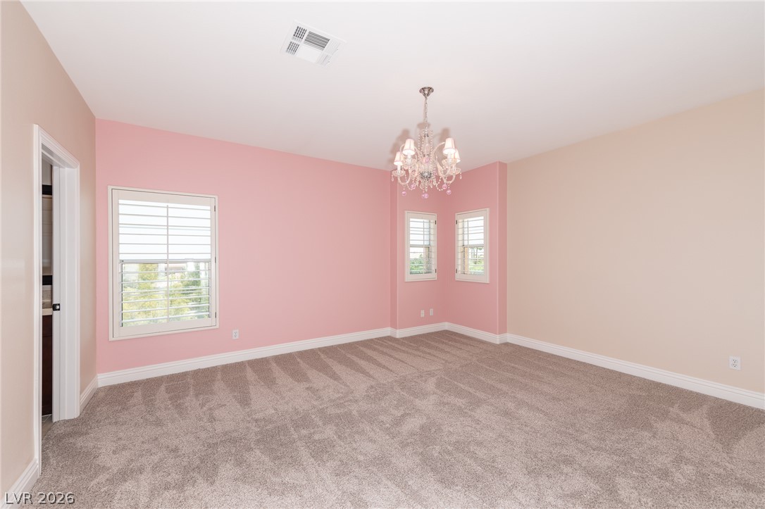 204 Satin Mist Court Property Photo 62