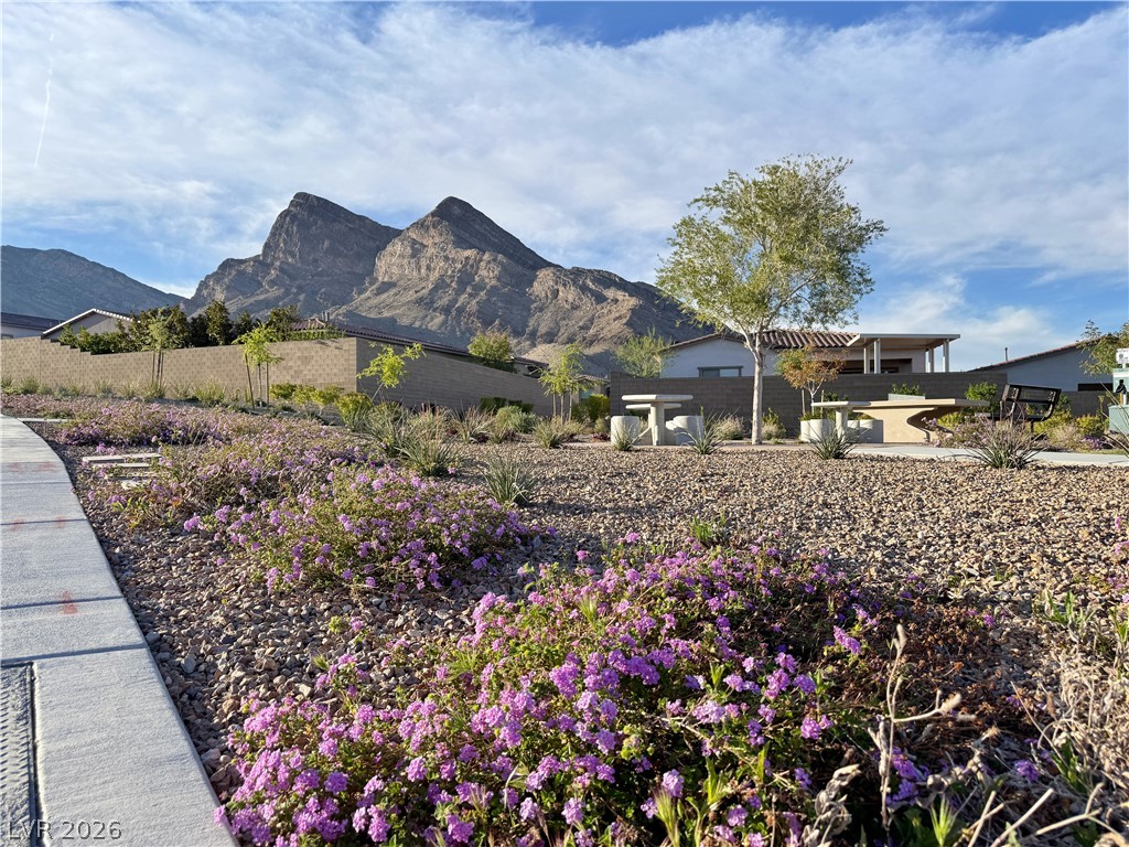 11622 Peregrine Point Court Property Photo 62