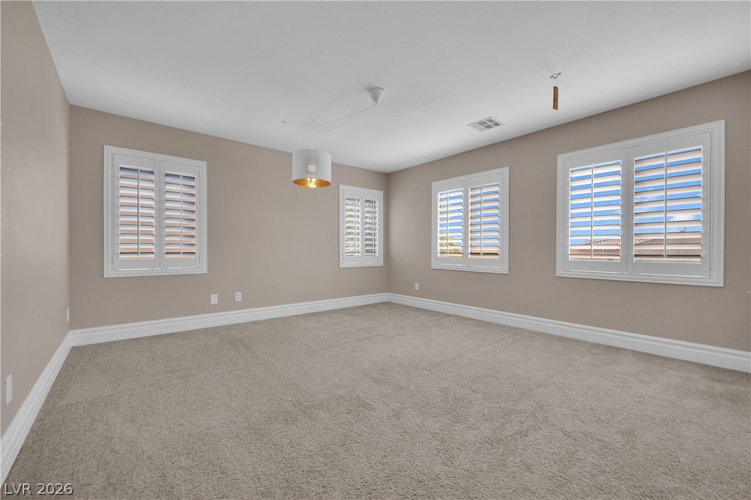10149 Whitney Falls Court Property Photo 37