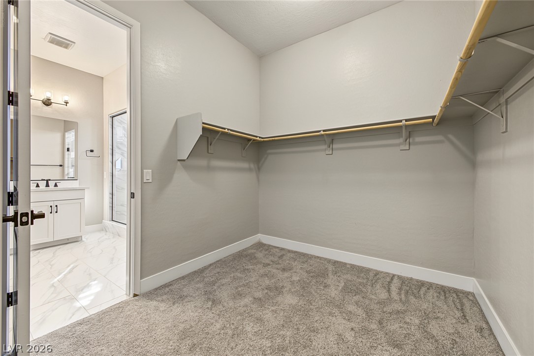 10086 Goff Grove Court Property Photo 28