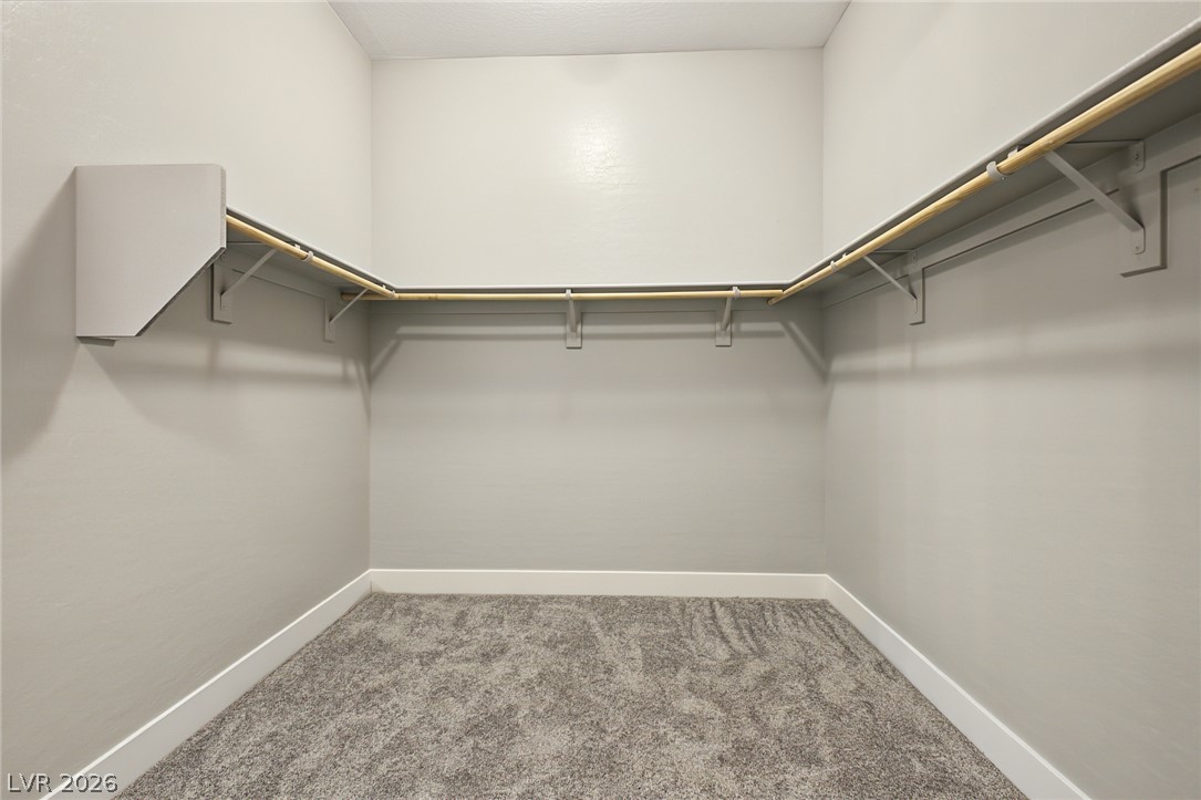 10086 Goff Grove Court Property Photo 29