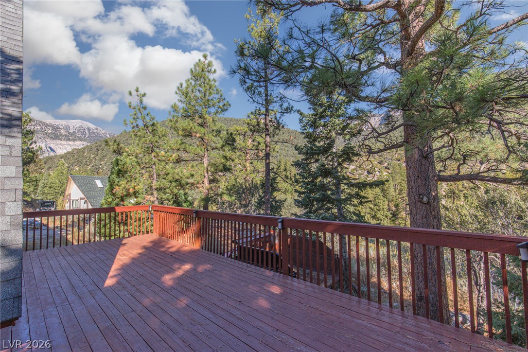 3990 Arlberg Way Property Photo 16