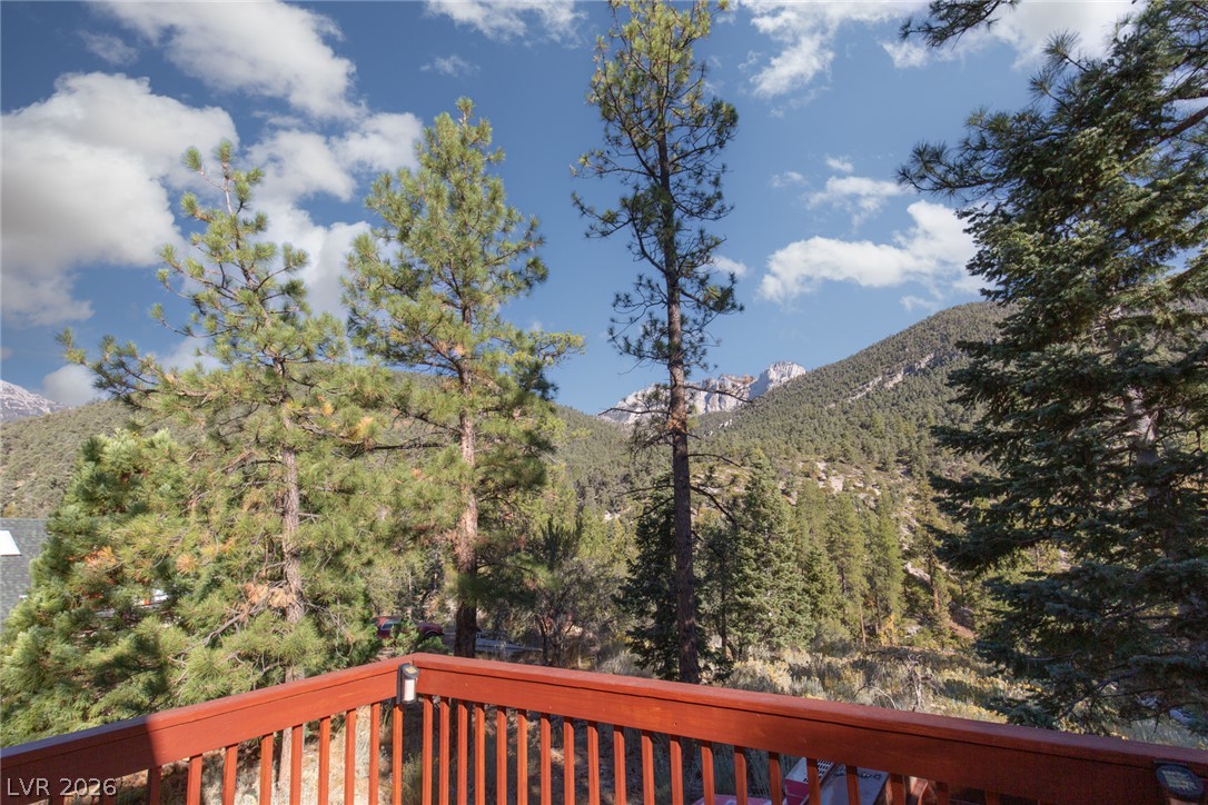3990 Arlberg Way Property Photo 35