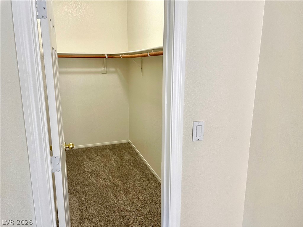 8233 Strawberry Spring Street Property Photo 26